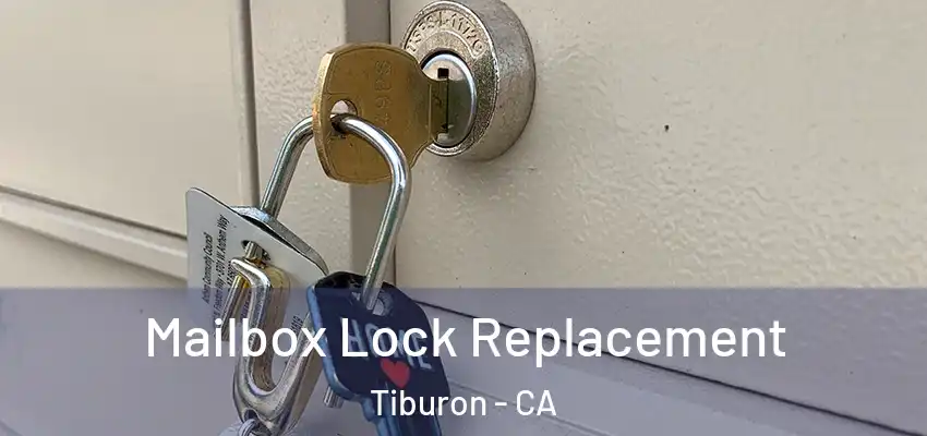  Mailbox Lock Replacement Tiburon - CA